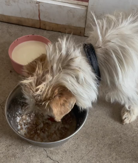 Please help this great mother, Jenny