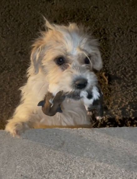 Please help this great mother, Jenny